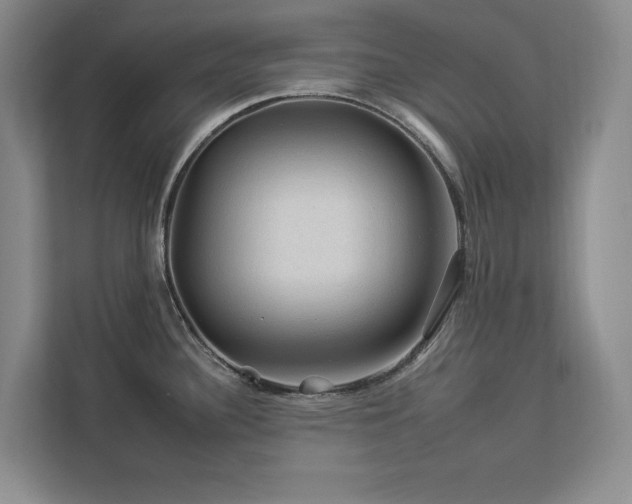 X0000112931340200908241253