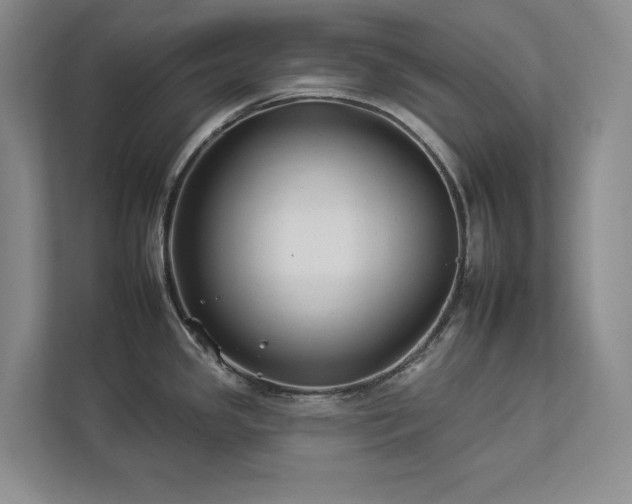 X0000112931341200908241253