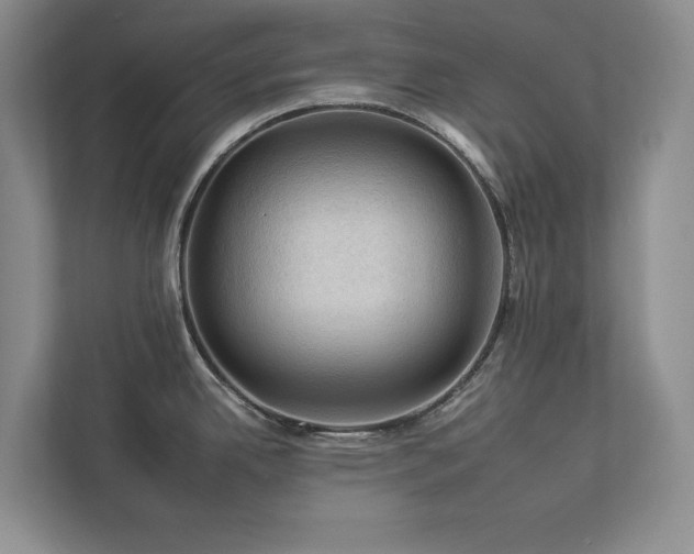 X0000112931342200908241253