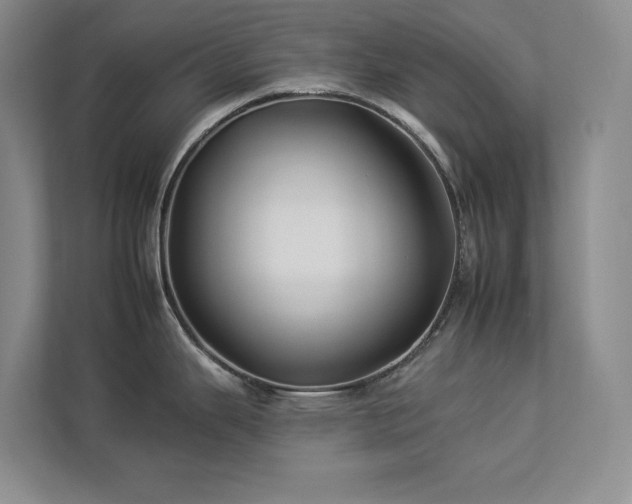 X0000112931343200908241253