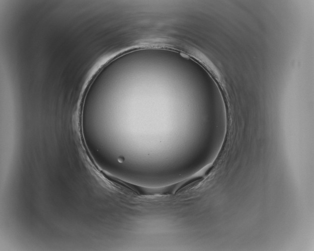 X0000112931344200908241253