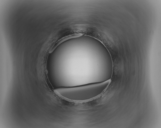 X0000112931345200908241252