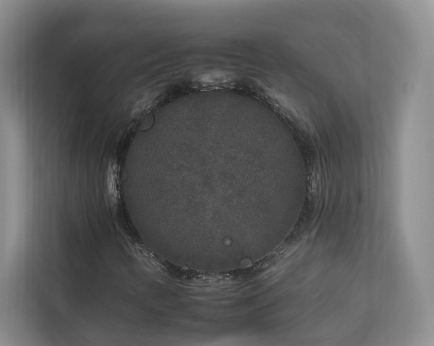 X0000112931346200908241252