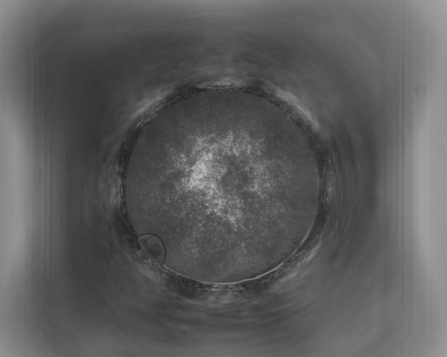 X0000112931350200908241252