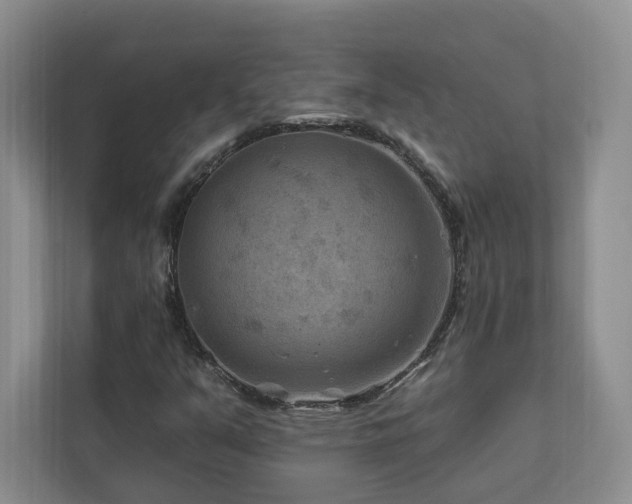 X0000112931351200908241252