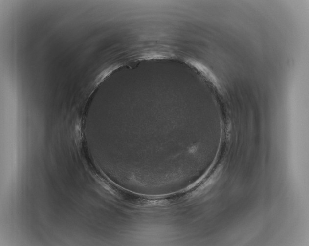 X0000112931353200908241252