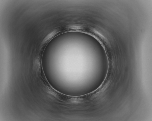X0000112931354200908241252