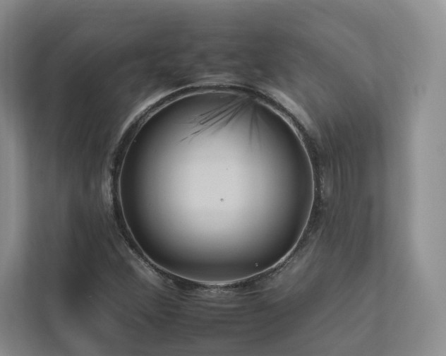 X0000112931356200908241252