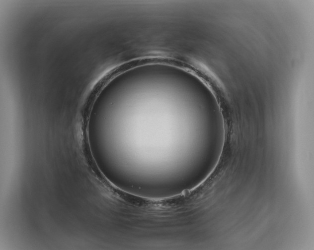 X0000112931360200908241252