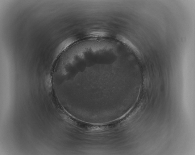 X0000112931362200908241252