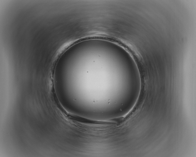 X0000112931363200908241252