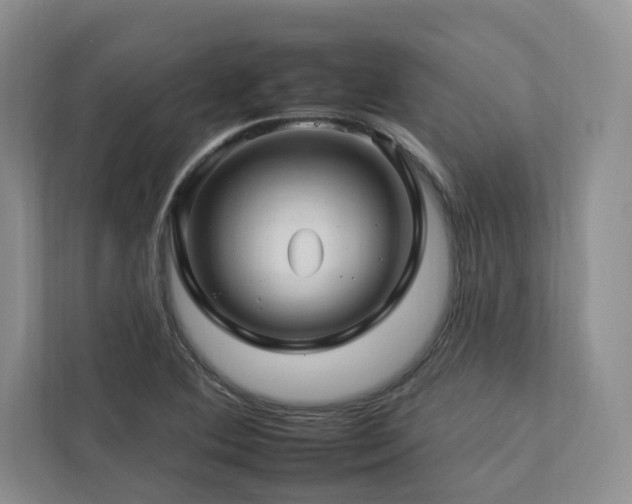 X0000112931364200908241252