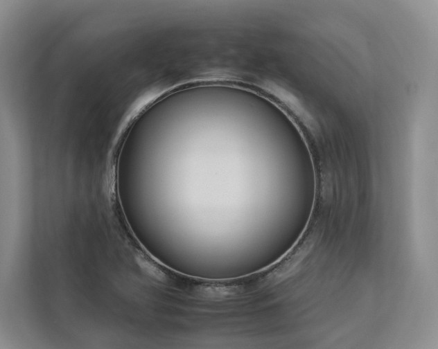 X0000112931366200908241252
