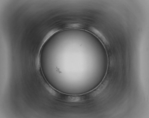 X0000112931370200908241252