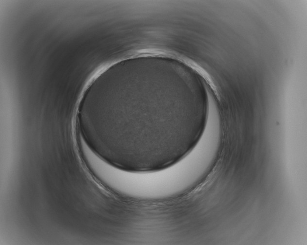 X0000112931373200908241252