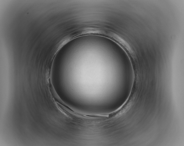 X0000112931377200908241252