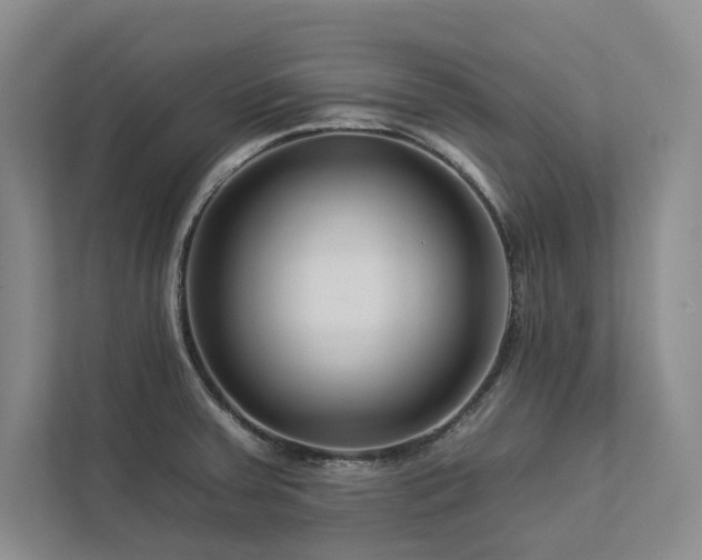 X0000112931379200908241252