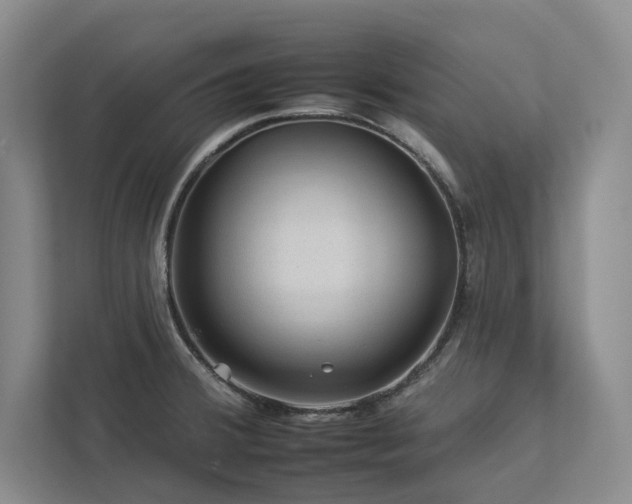 X0000112931380200908241252