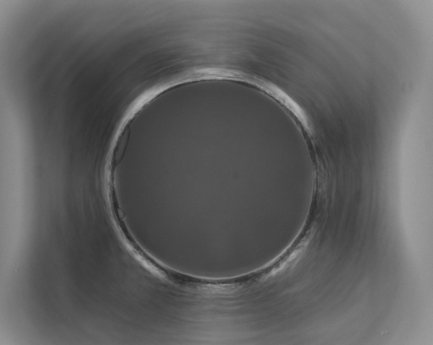 X0000112931381200908241252