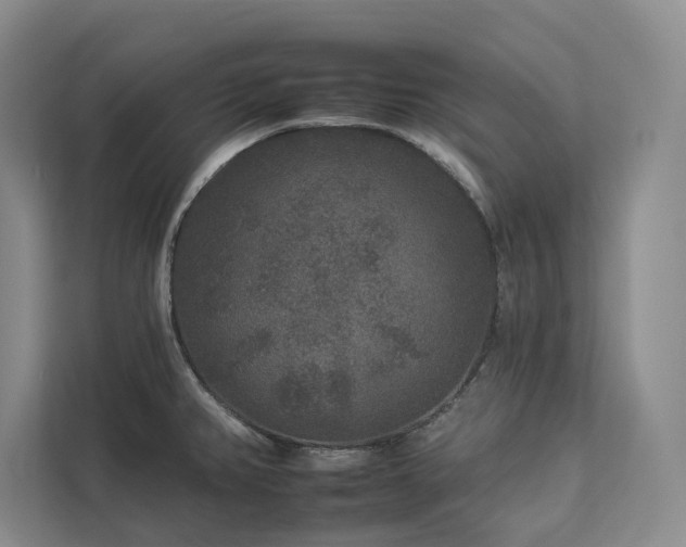 X0000112931382200908241252