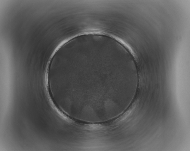 X0000112931383200908241251