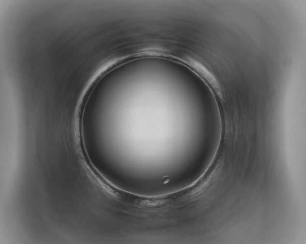 X0000112931384200908241251