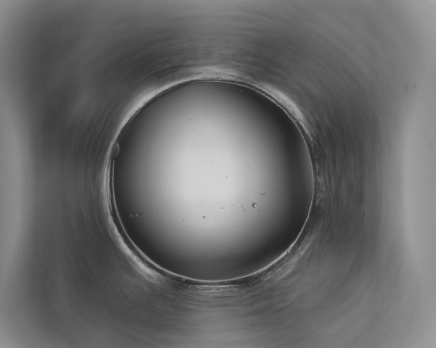 X0000112931391200908241251