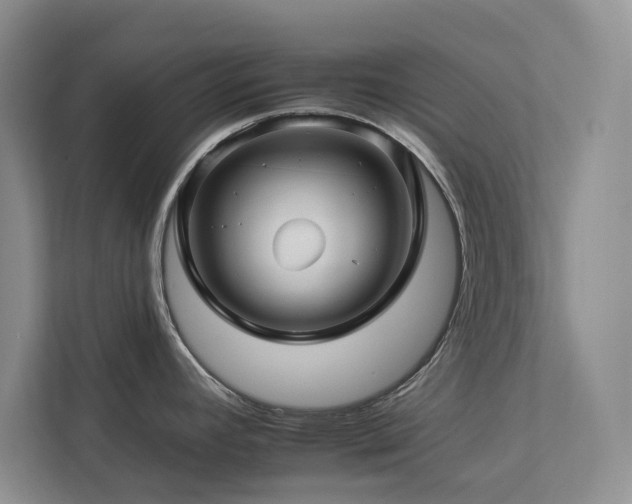 X0000112931392200908241251
