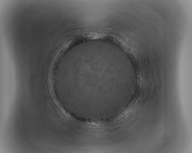 X0000112931393200908241251