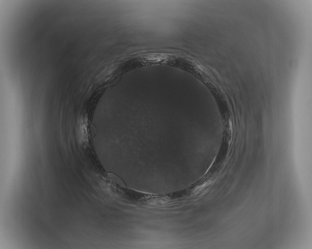 X0000112931394200908241251