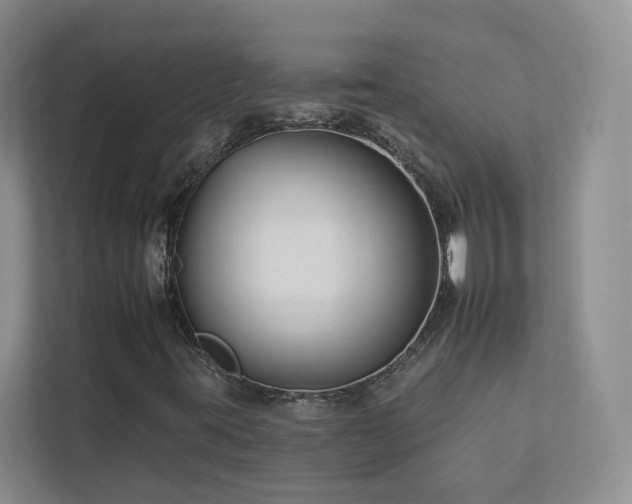 X0000112931395200908241251