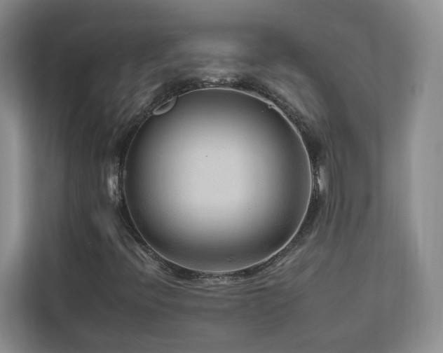 X0000112931396200908241251