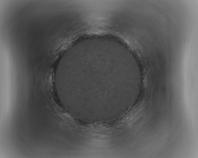 X0000112931397200908241251