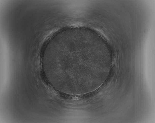 X0000112931398200908241251