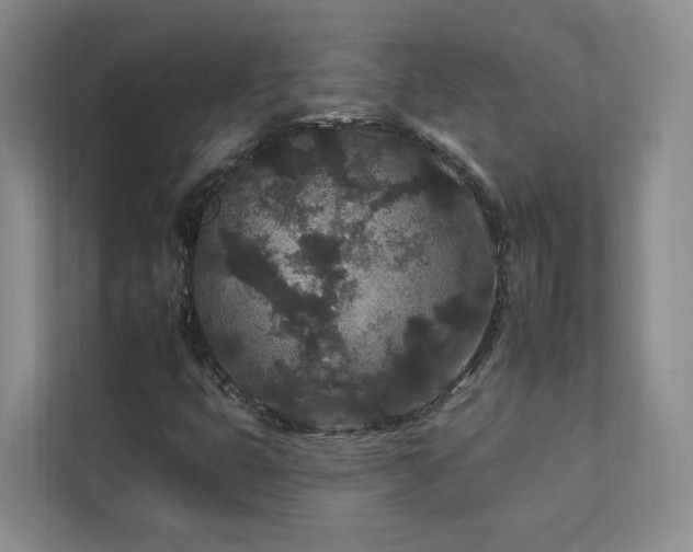 X0000112931399200908241251
