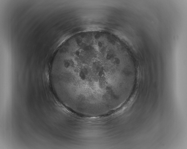 X0000112931401200908241251