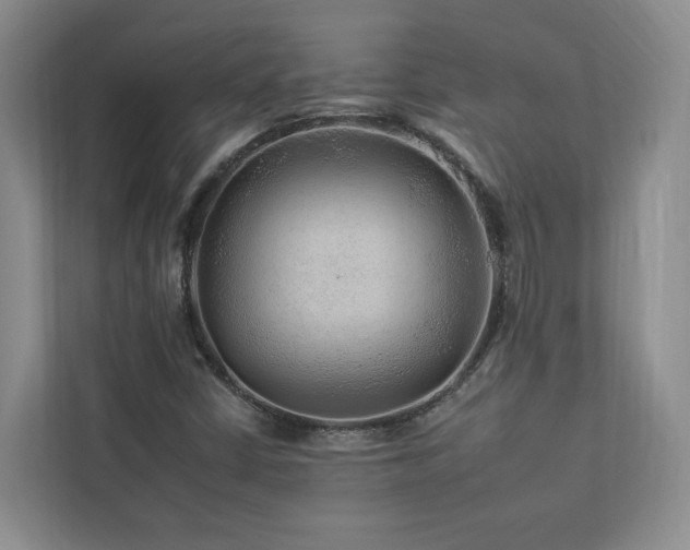 X0000112931402200908241251