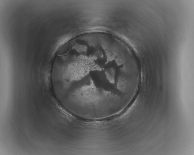 X0000112931405200908241251