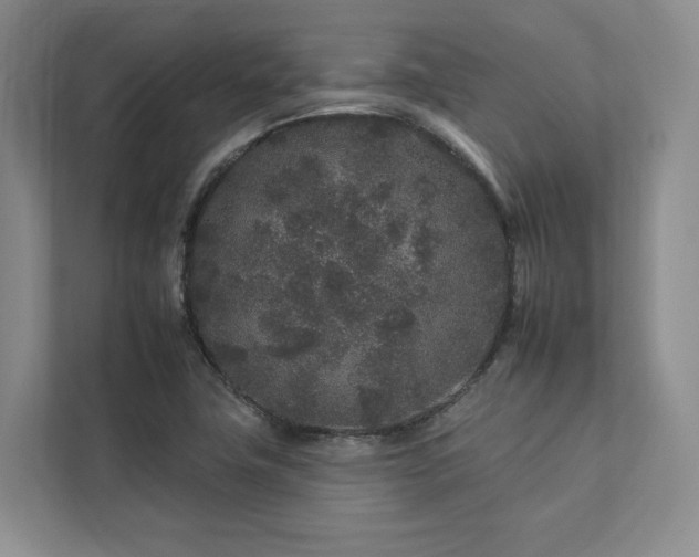 X0000112931411200908241251