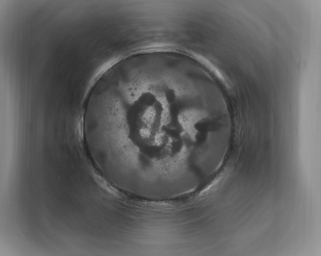 X0000112931413200908241251