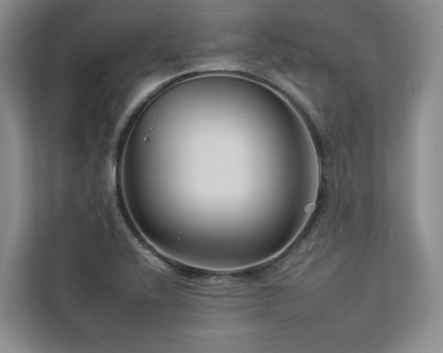 X0000112931416200908241251