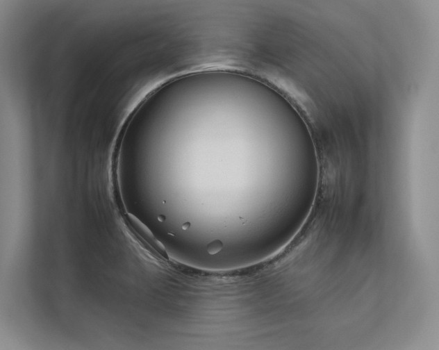 X0000112931423200908241251