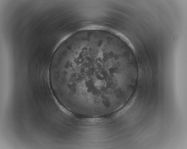 X0000112931425200908241251