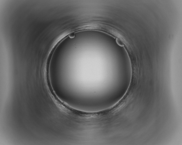 X0000112931426200908241251