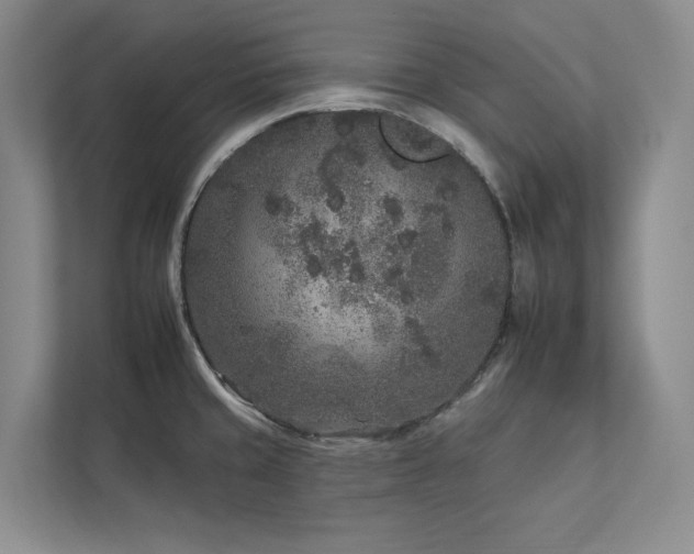 X0000112931429200908241251