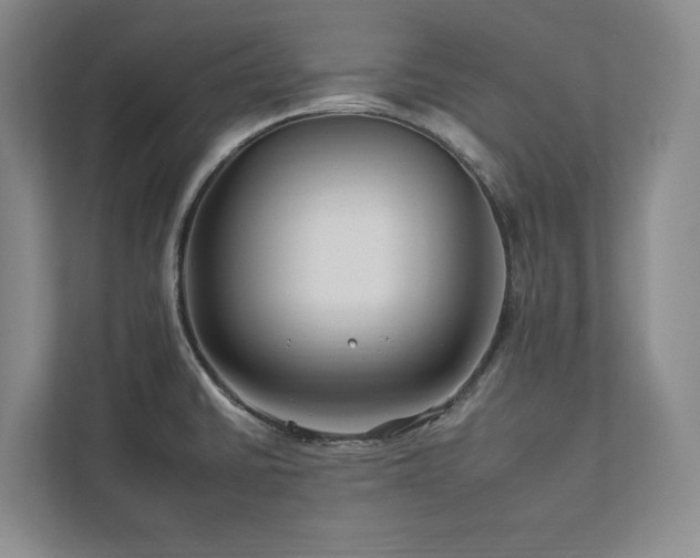 X0000112931430200908241251