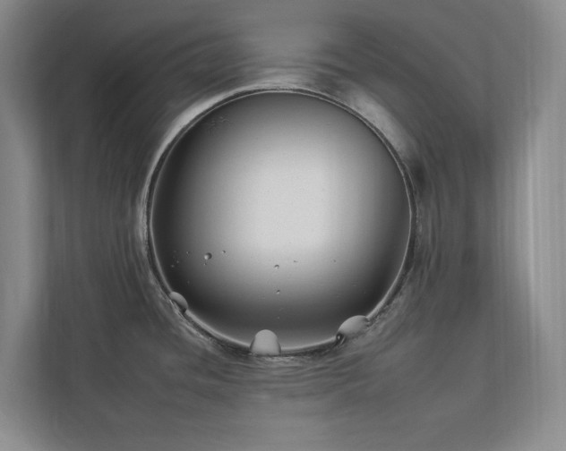 X0000112931436200908241251