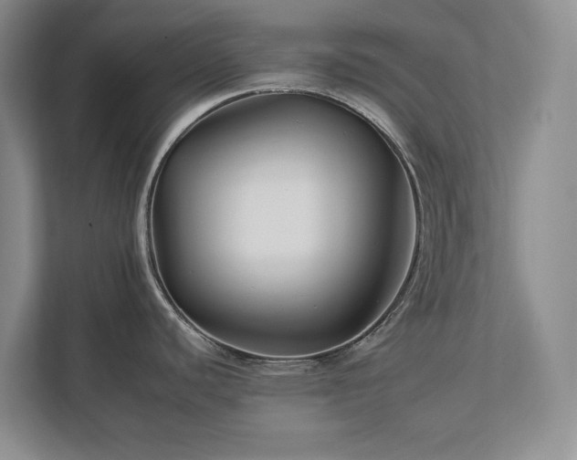 X0000112931440200908241251