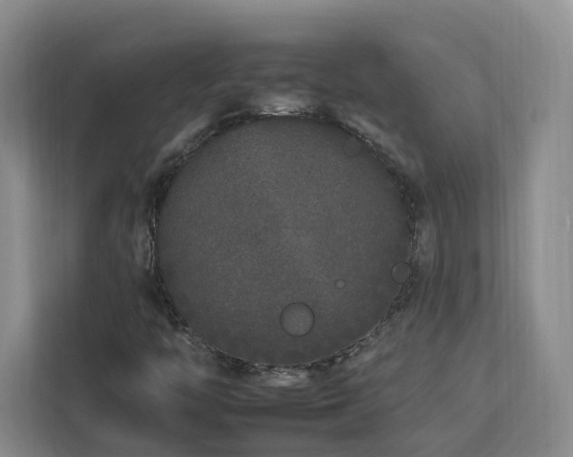 X0000112931446200908241251
