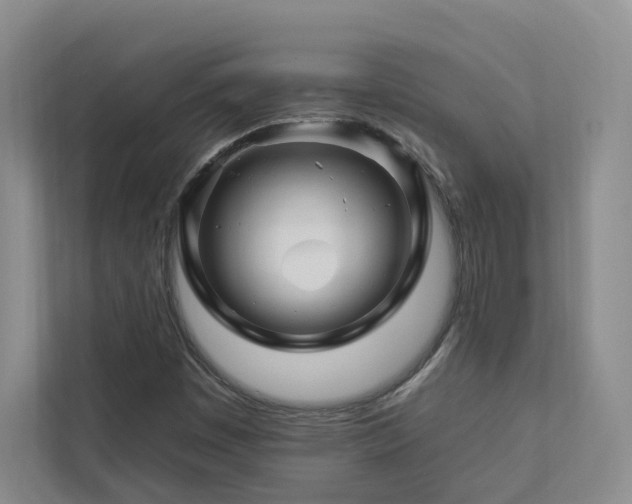 X0000112931449200908241250